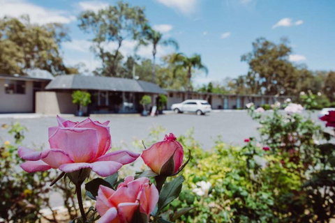 Artesian Spa Motor Inn - Accommodation Great Ocean Road 2