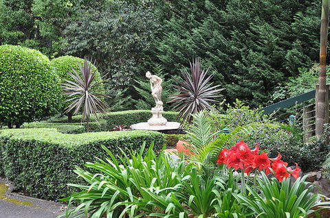 Escarpment Retreat - Accommodation Great Ocean Road 0