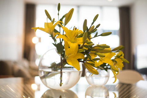 KUI - Manhattan Apartments - Accommodation Great Ocean Road 0