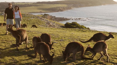 Kangaroo Island Seafront - Accommodation Great Ocean Road 13