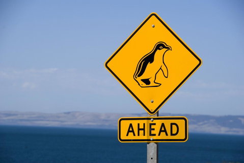 Kangaroo Island Seafront - Accommodation Great Ocean Road 43
