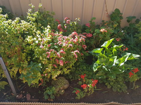 Tanunda\'s Magpie House - Accommodation Great Ocean Road 24