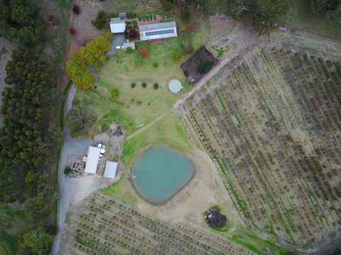 STUDIO ECHUNGA Adelaide Hills - Accommodation Great Ocean Road 22