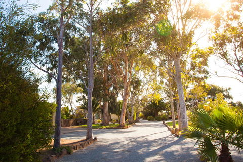Modra\'s Apartments - Accommodation Great Ocean Road 0