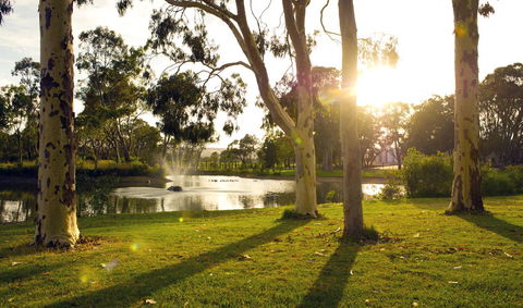 Serafino McLaren Vale - Accommodation Great Ocean Road 14