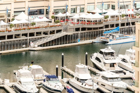 Beachside Luxury & Comfort, Ocean Views In Glenelg - Accommodation Great Ocean Road 6
