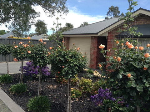 C And C Tanunda - Accommodation Great Ocean Road 1