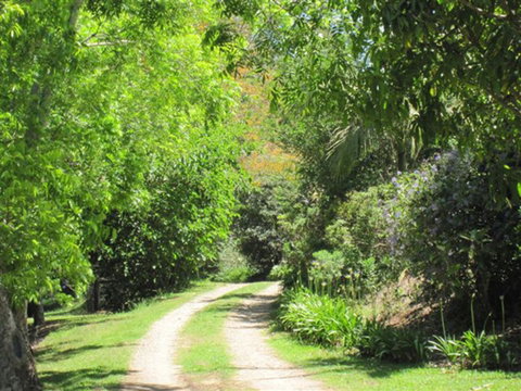SummerHills Retreat Byron Bay - Accommodation Great Ocean Road 33