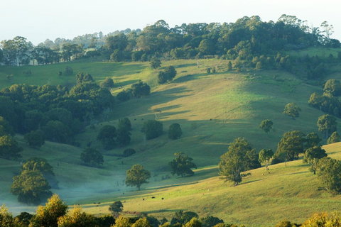 SummerHills Retreat Byron Bay - Accommodation Great Ocean Road 20
