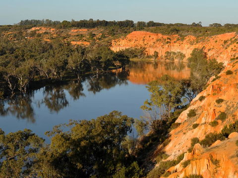 Echo Holiday Parks - Renmark - Accommodation Great Ocean Road 11