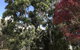 Forest Lodge Resort - thumb 15