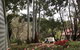 Forest Lodge Resort - thumb 11