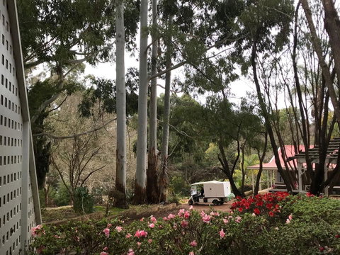 Forest Lodge Resort - Accommodation Great Ocean Road 11