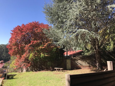 Forest Lodge Resort - Accommodation Great Ocean Road 42