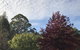 Forest Lodge Resort - thumb 39