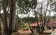 Forest Lodge Resort - thumb 9