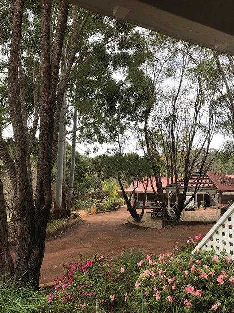 Forest Lodge Resort - Accommodation Great Ocean Road 9
