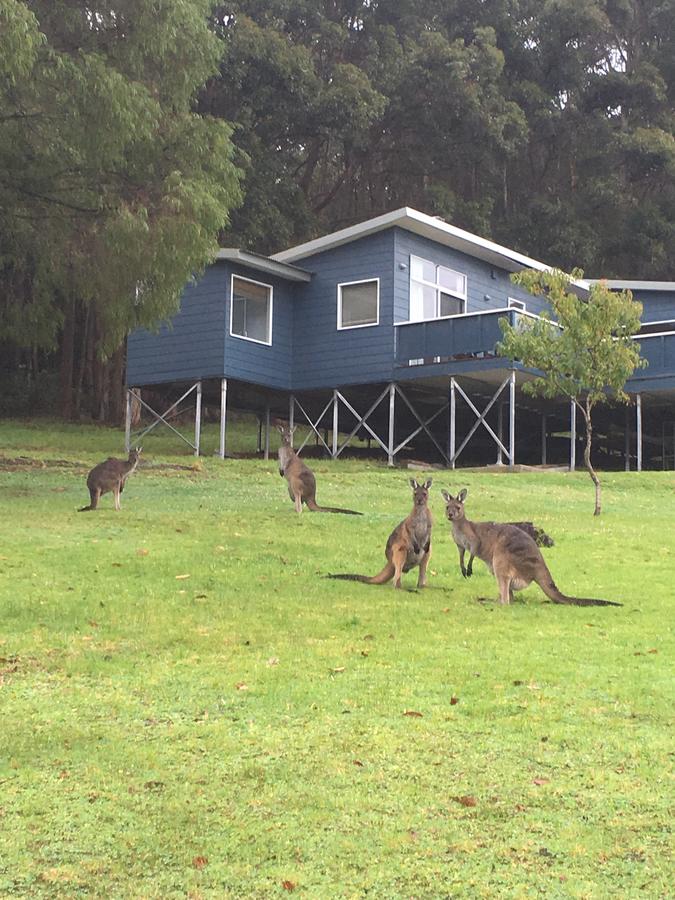 Denmark WA Accommodation Great Ocean Road