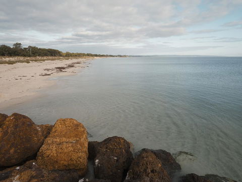 FortyOne - Oceanside Retreat Busselton - Accommodation Great Ocean Road 1