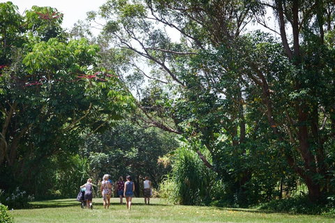 Ingenia Holidays Byron Bay - Accommodation Great Ocean Road 11