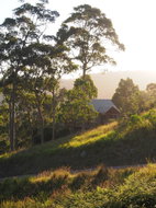 Book Bawley Point Accommodation Accommodation Great Ocean Road Accommodation Great Ocean Road