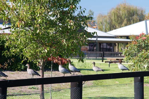 Potters Apartments - Accommodation Great Ocean Road 25