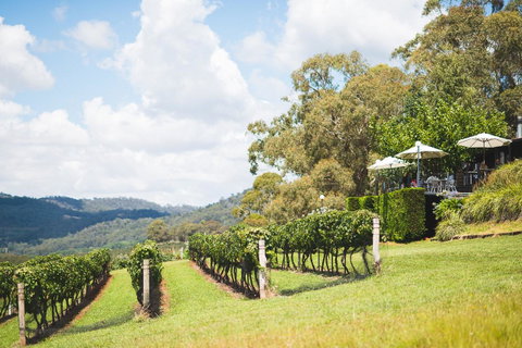 Borrodell Vineyard - Accommodation Great Ocean Road 12