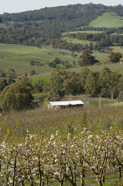 Borrodell Vineyard - Accommodation Great Ocean Road 30