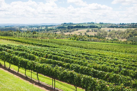 Borrodell Vineyard - Accommodation Great Ocean Road 29