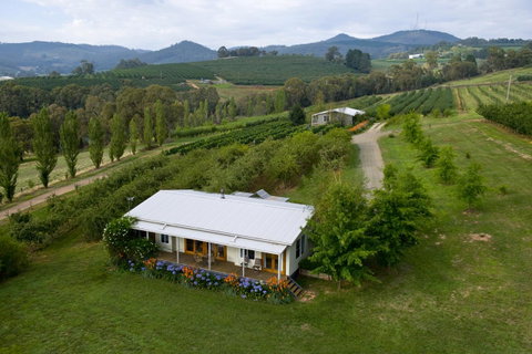 Borrodell Vineyard - Accommodation Great Ocean Road 2