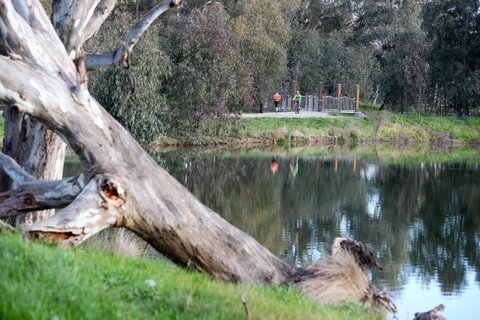 Mercure Albury - Accommodation Great Ocean Road 15