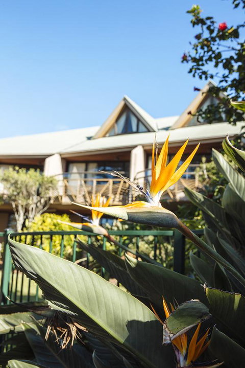 Beach Hotel Resort - Accommodation Great Ocean Road 36