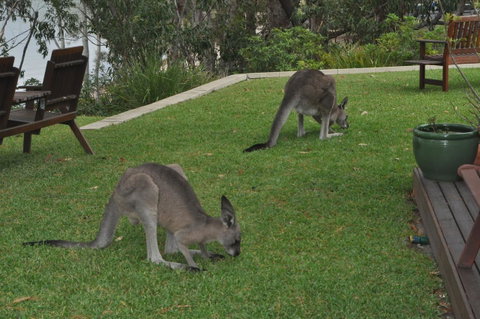 By The Beach B&B Self Contained Apartments - Accommodation Great Ocean Road 28