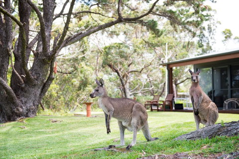 By The Beach B&B Self Contained Apartments - Accommodation Great Ocean Road 17
