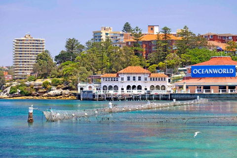 STUNNING MANLY VIEWS - Accommodation Great Ocean Road 13