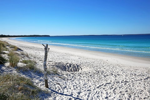 Sandy Toes Beach House Jervis Bay - 2min To Beach - Accommodation Great Ocean Road 22