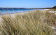 Sandy Toes Beach House Jervis Bay - 2min To Beach - thumb 23