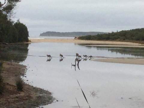 Rocketz At Berrara Beach - Accommodation Great Ocean Road 3
