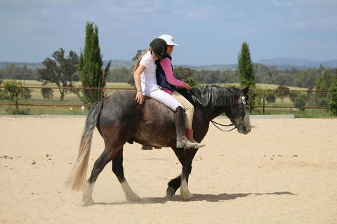 Belisi Farmstay Cottage - Accommodation Great Ocean Road 28