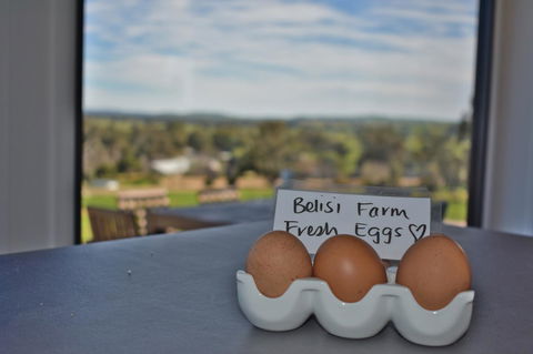 Belisi Farmstay Cottage - Accommodation Great Ocean Road 20