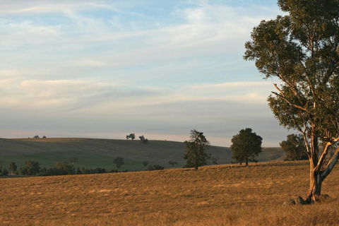 Belisi Farmstay Cottage - Accommodation Great Ocean Road 33