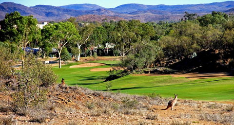 Desert Palms Alice Springs - Accommodation Great Ocean Road 30