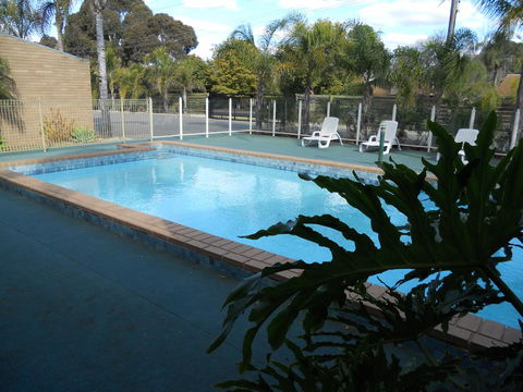 Cottonwood Motor Inn - Accommodation Great Ocean Road 0