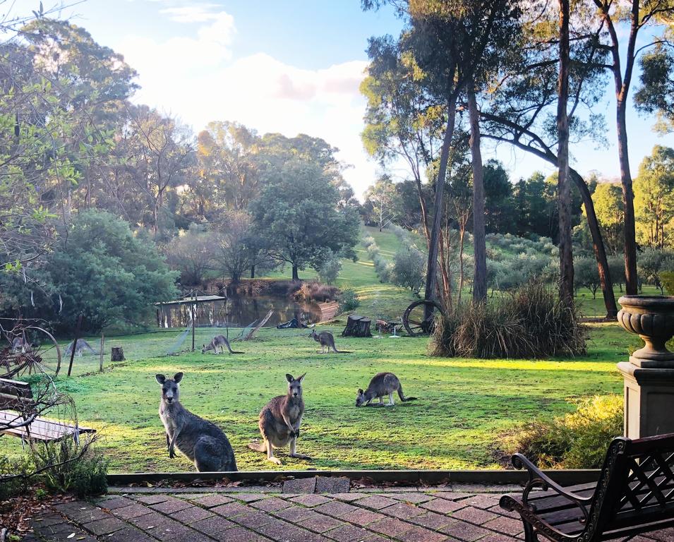 Hepburn VIC Accommodation Great Ocean Road