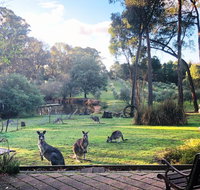 Countryside Retreat Spa Cottage Hepburn - Daylesford - Accommodation Great Ocean Road