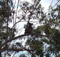 Escape to the Country - Enjoy the firepit or explore magical Bunya Mountains - Accommodation Great Ocean Road