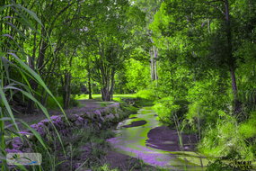 Book Esk Accommodation Accommodation Great Ocean Road Accommodation Great Ocean Road