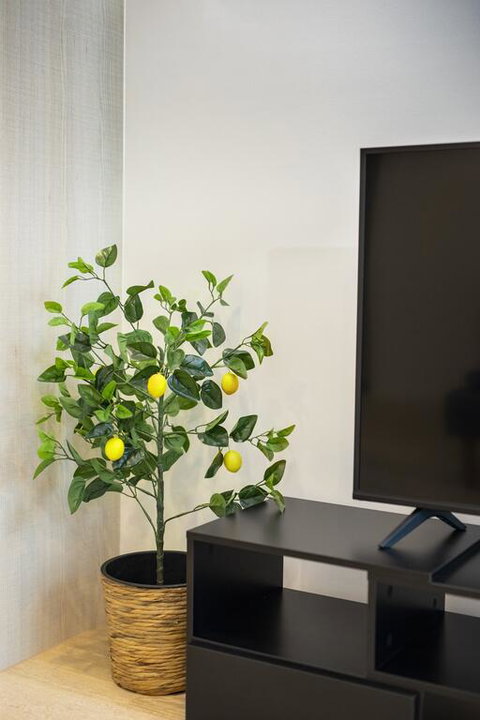 Everhome Melbourne Village 603 - Accommodation Great Ocean Road 3