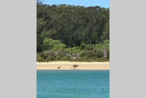 FAIRVIEW COTTAGE 25B - Waterfront Accommodation - Accommodation Great Ocean Road 0