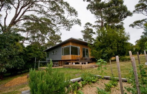 Flounder - Accommodation Great Ocean Road 1